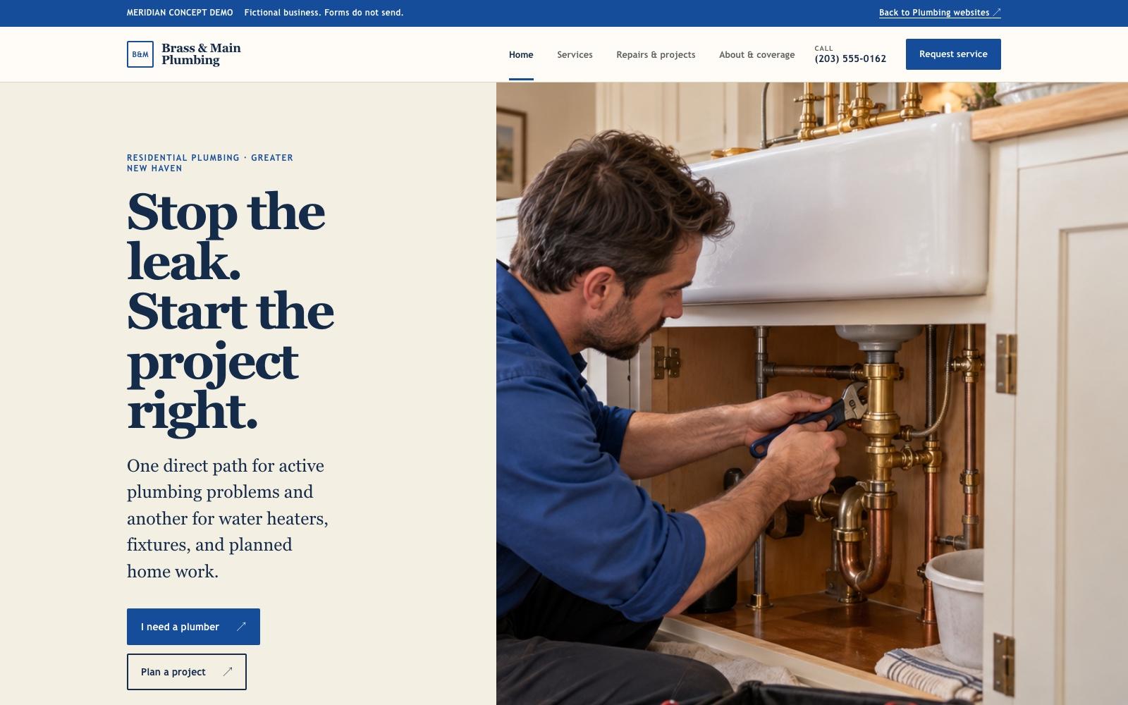 Brass & Main Plumbing plumbing website concept homepage